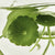 Tab image