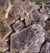 Tab image