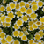 Tab image