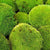 Tab image