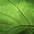 Tab image